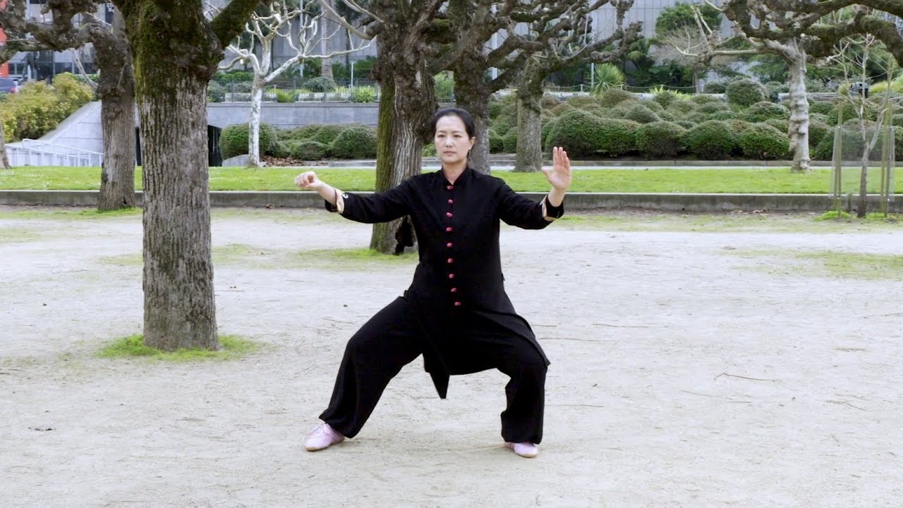 Chen-Style 36 Form – Full Demonstration – Front View |  陳式太極拳三十六式 全套正面演練