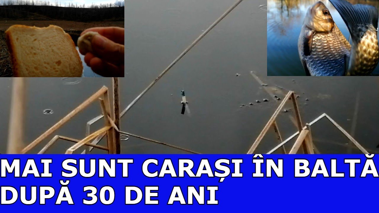 PESCUIT LA PLUTĂ LA CARAS SĂLBATIC - DE 3O DE ANI NU AM FOST ACOLO