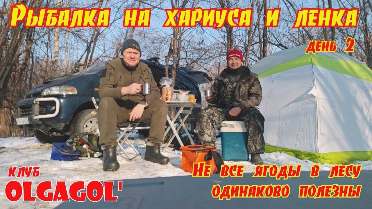 Рыбалка на хариуса и ленка День 2 Не все ягоды в лесу одинаково полезны. 