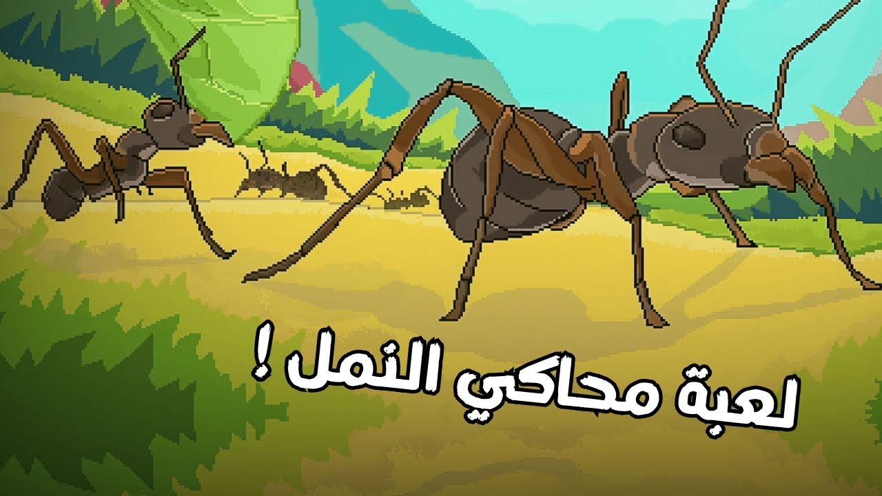 محاكي النمل || لعبة محاكي النمل البداية #1 || Pocket Ants