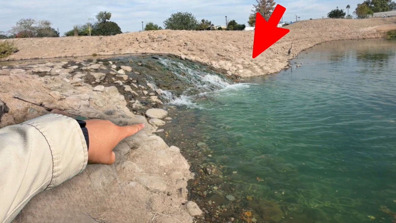 Fishing Urban Ponds We Never Knew Existed!