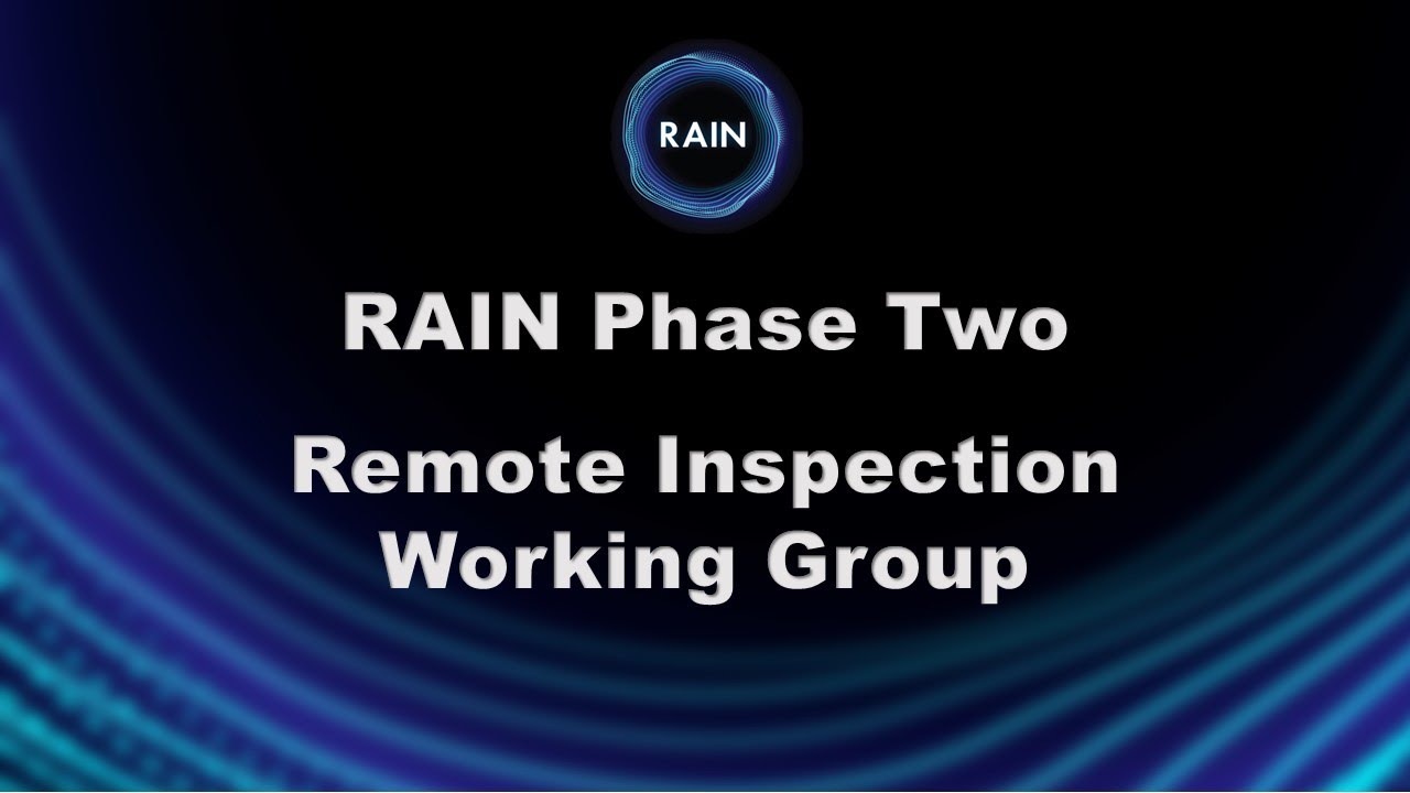 RAIN - Remote Inspection Working Group 2022