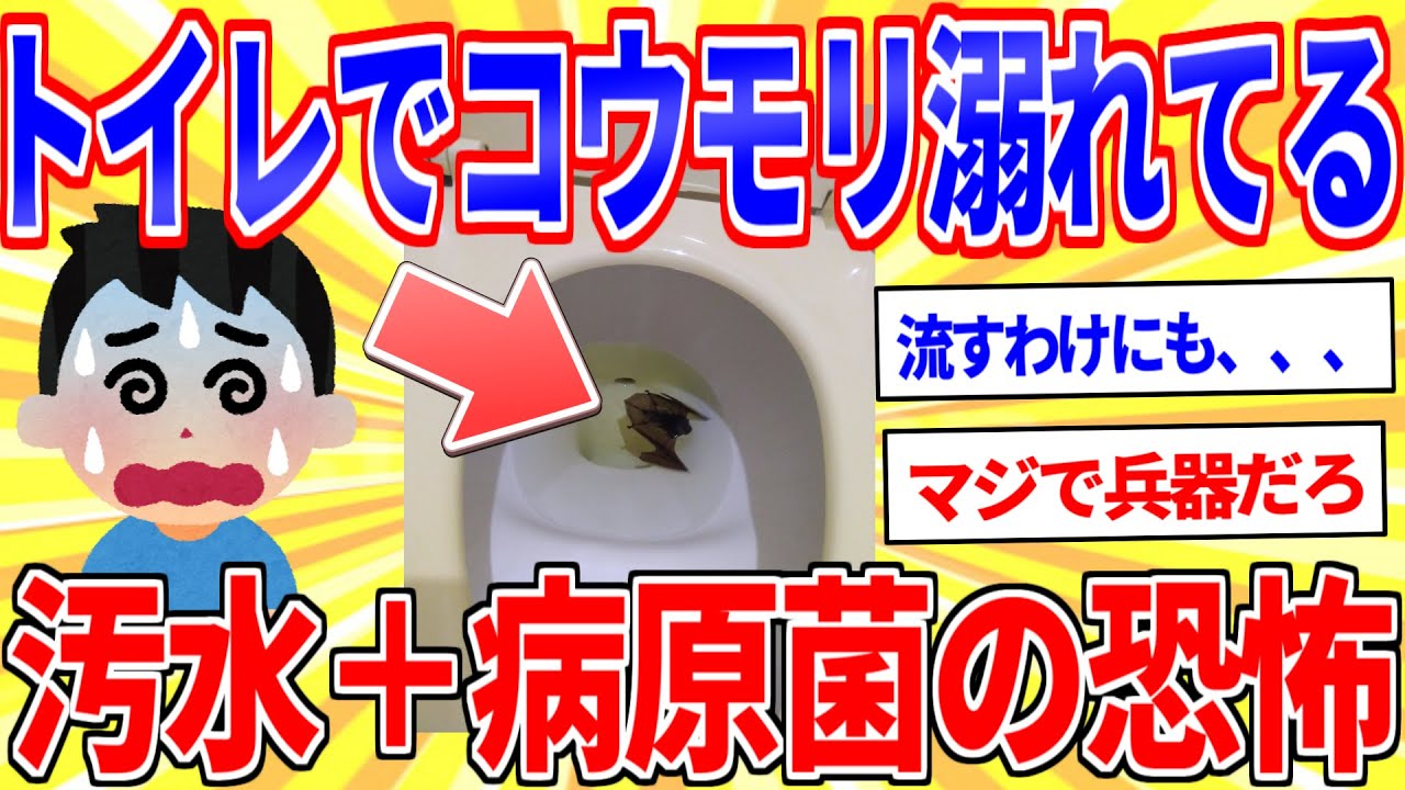 家のトイレでコウモリが溺れてるんだがｗｗｗ【2ch面白いスレゆっくり解説】