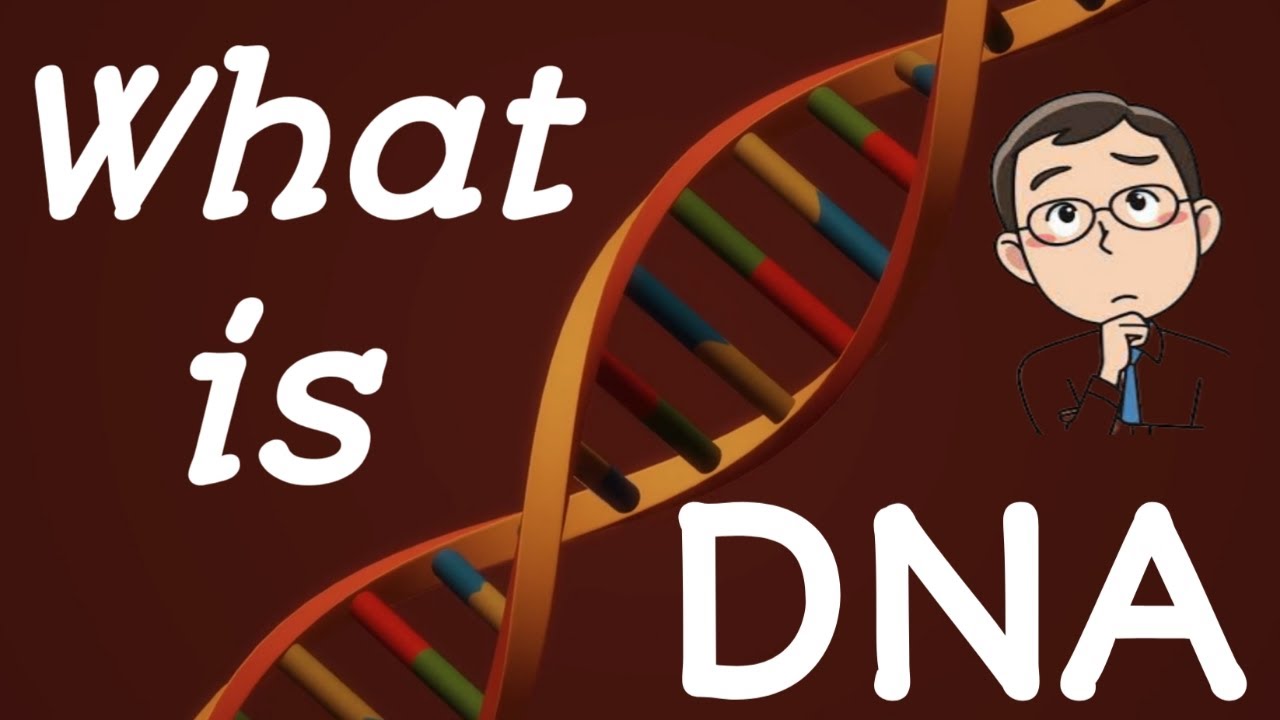 What is DNA ? || DNA Explained || How DNA Works || science