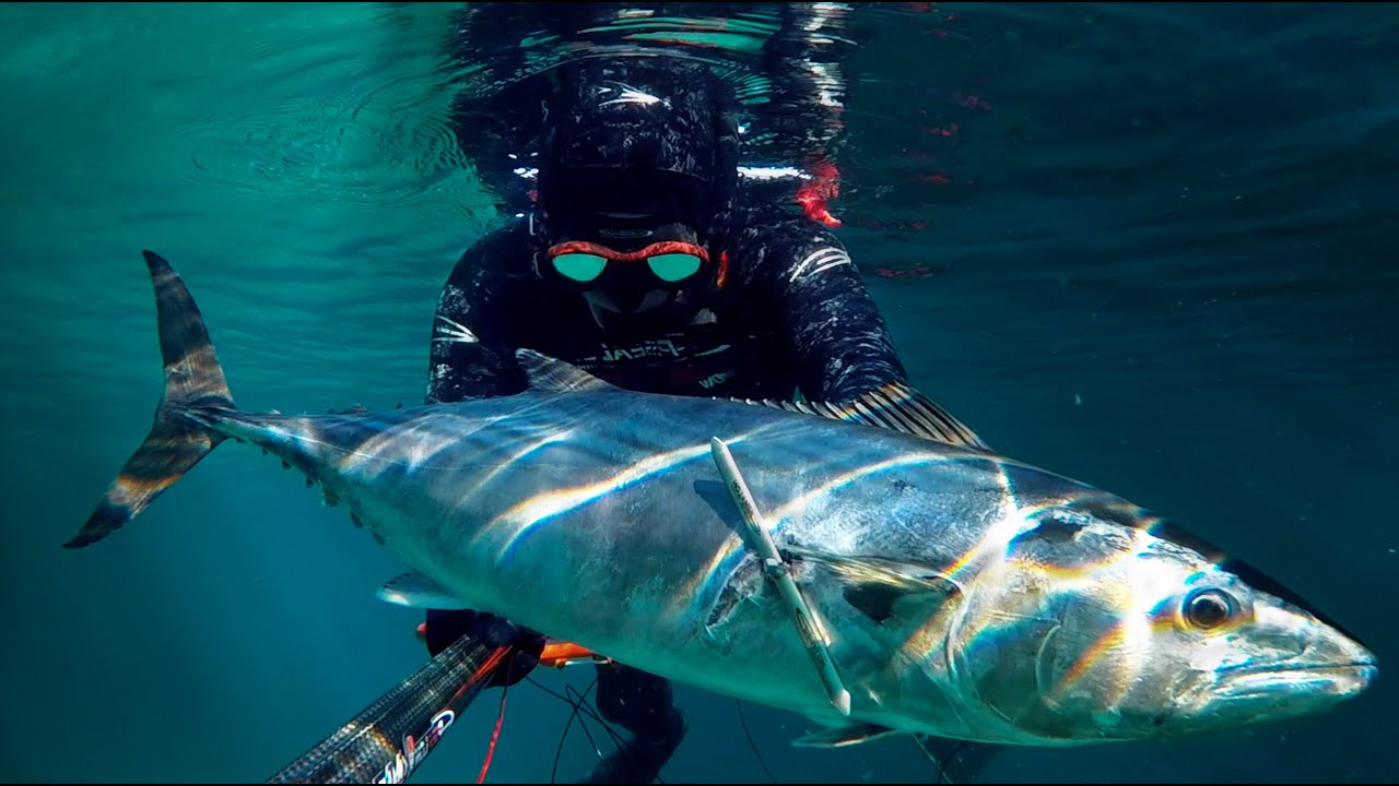 P&eacute;lamide 7Kg Presque un Thon - Chasse sous marine 2020