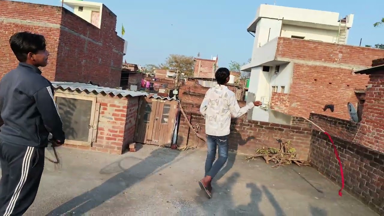 New gola kabutaron la shok  bareilly pigeon lover 02🕊🕊