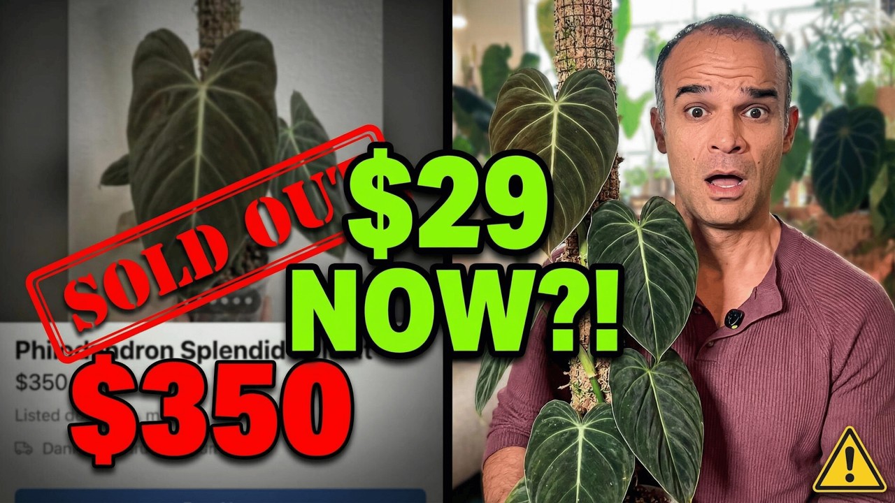 15 Wishlist Plants That Crashed to Under $30 Buy or Pass?