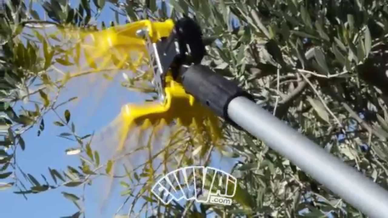 AIR - ABBACCHIATORE ULTRA LEGGERO ULTRA VELOCE PNEUMATICO PROFESSIONALE RACCOLTA OLIVE