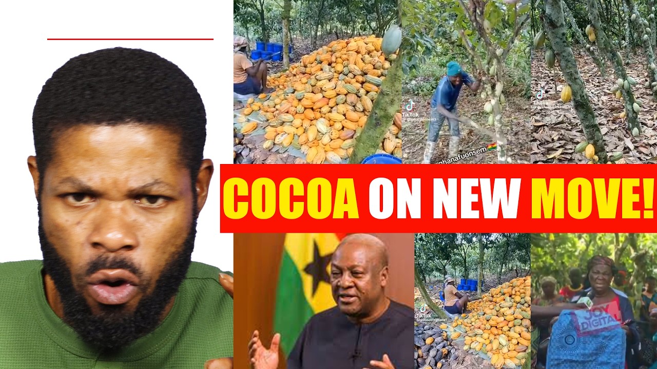 😱Wow! Prez. Mahama vows to end Raw Cocoa exports by 2030, will be processed in Ghana for more profit