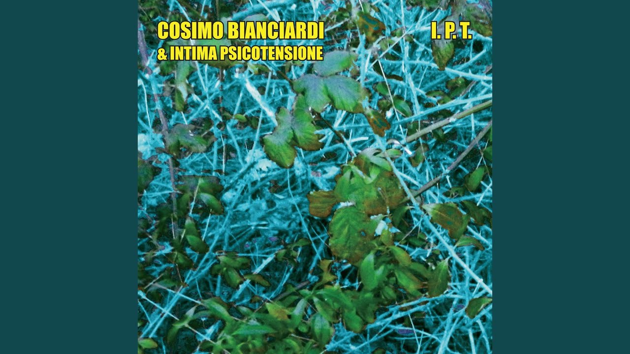 Mi sento un meccanismo complicato