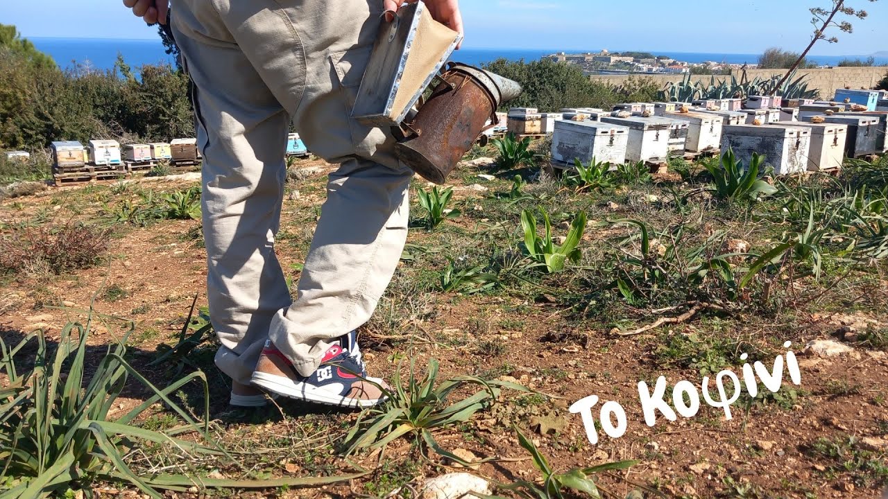 Επιθεώρηση μετά από 5 μήνες | Μελισσοκομία 2023 | Το ΚοΦινΙ