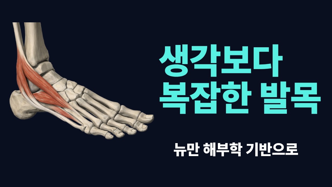 손목보다 복잡한 발목 Part1