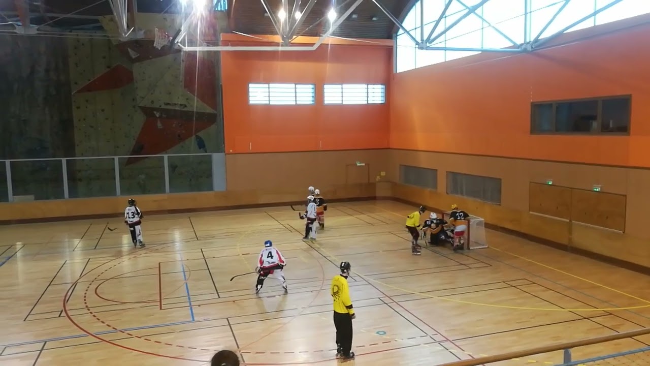 Match Roller Hockey LIONS (Auxerre) - FLASHS (Chalons) 29-10-2017
