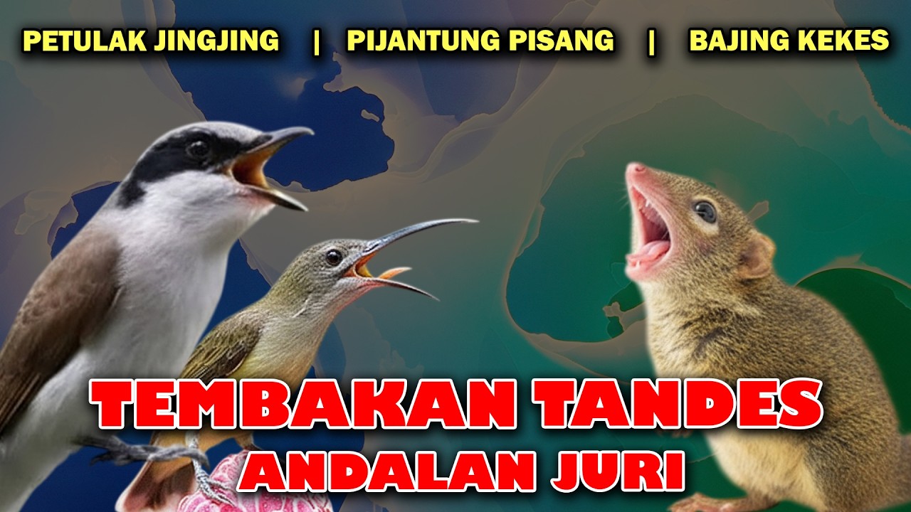 TEMBAKAN TANDES MASTERAN KRISTAL PETULAK JINGJING PIJANTUNG PISANG BAJING KEKES