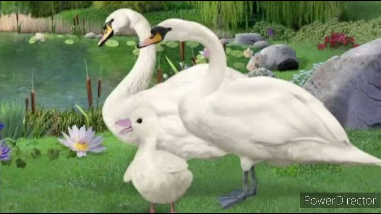 Save the Swan Opening Theme in 9 Languages