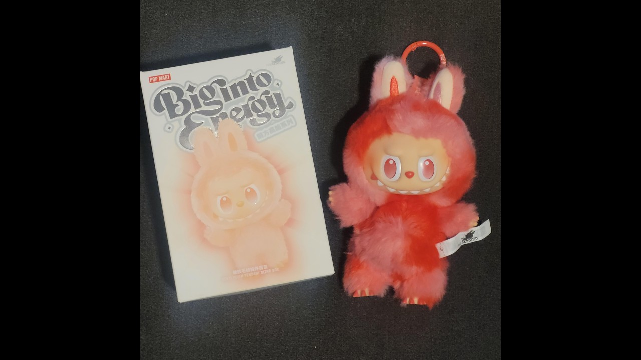 What's in the labubu box?