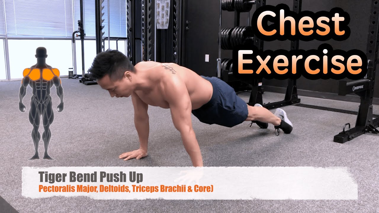 Chest - Tiger Bend Push Up - Exercise Library