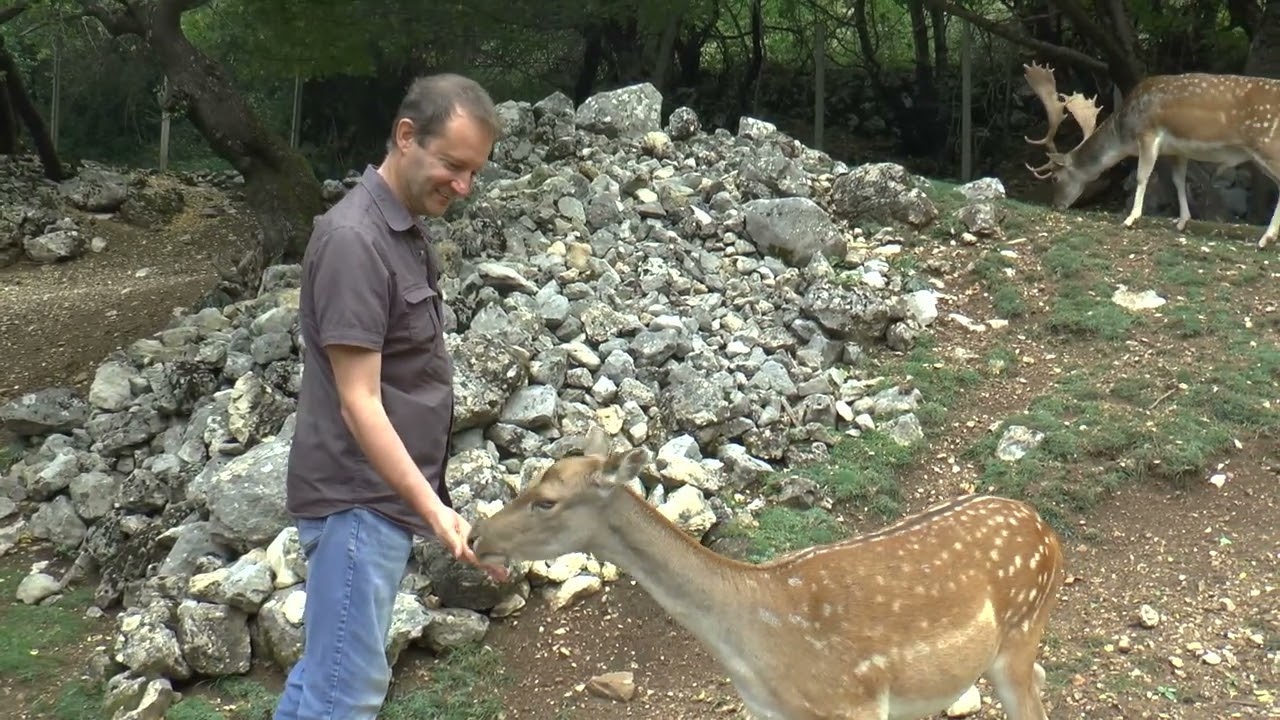 40 km tra gli animali selvatici d'Abruzzo