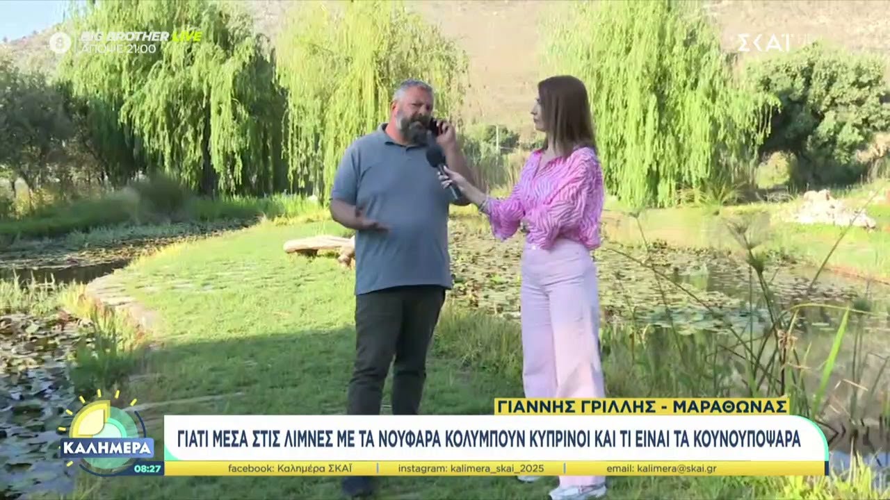 Μαγικός κήπος με νούφαρα στον Μαραθώνα – Τι λέει ο μοναδικός καλλιεργητής στην Ελλάδα