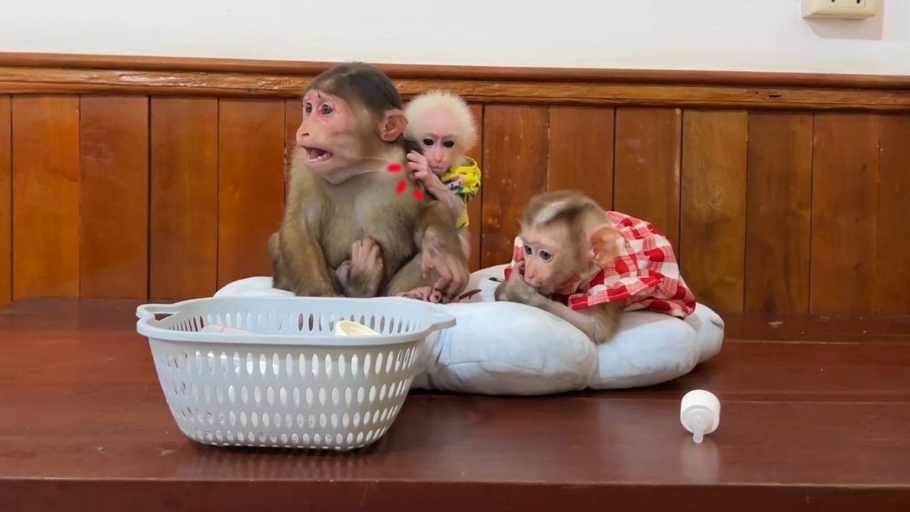 OHH No Innocent Bro John Got Bullly By Lil Baby Minea During Meal