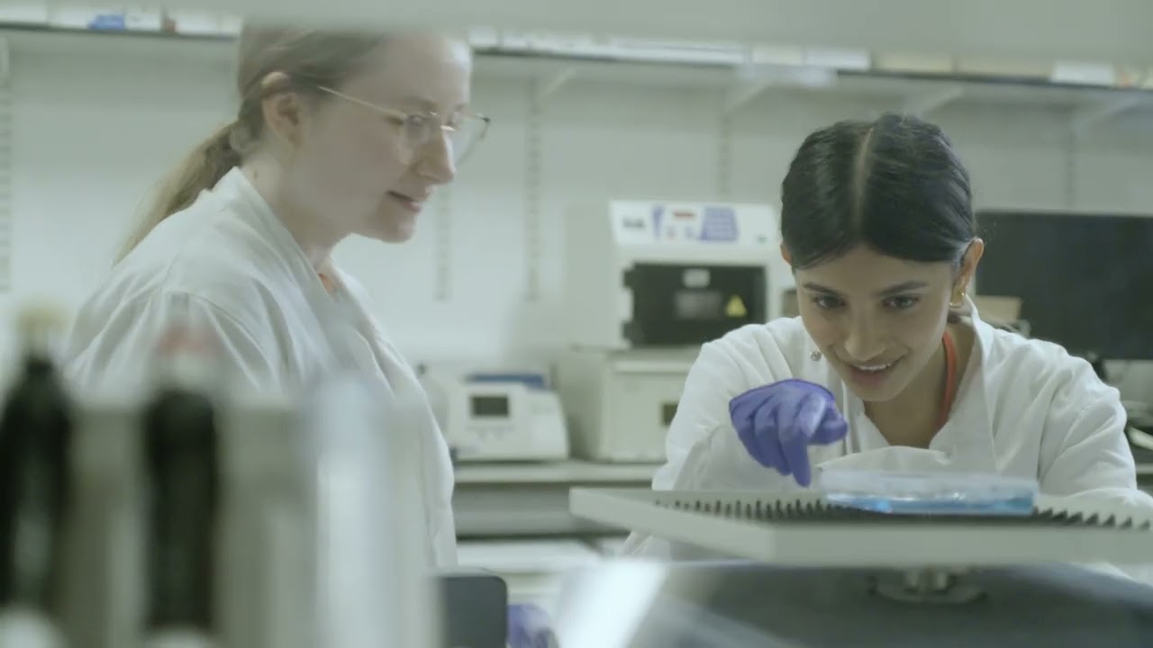 MRes Transitional Biomedical Research| 360red