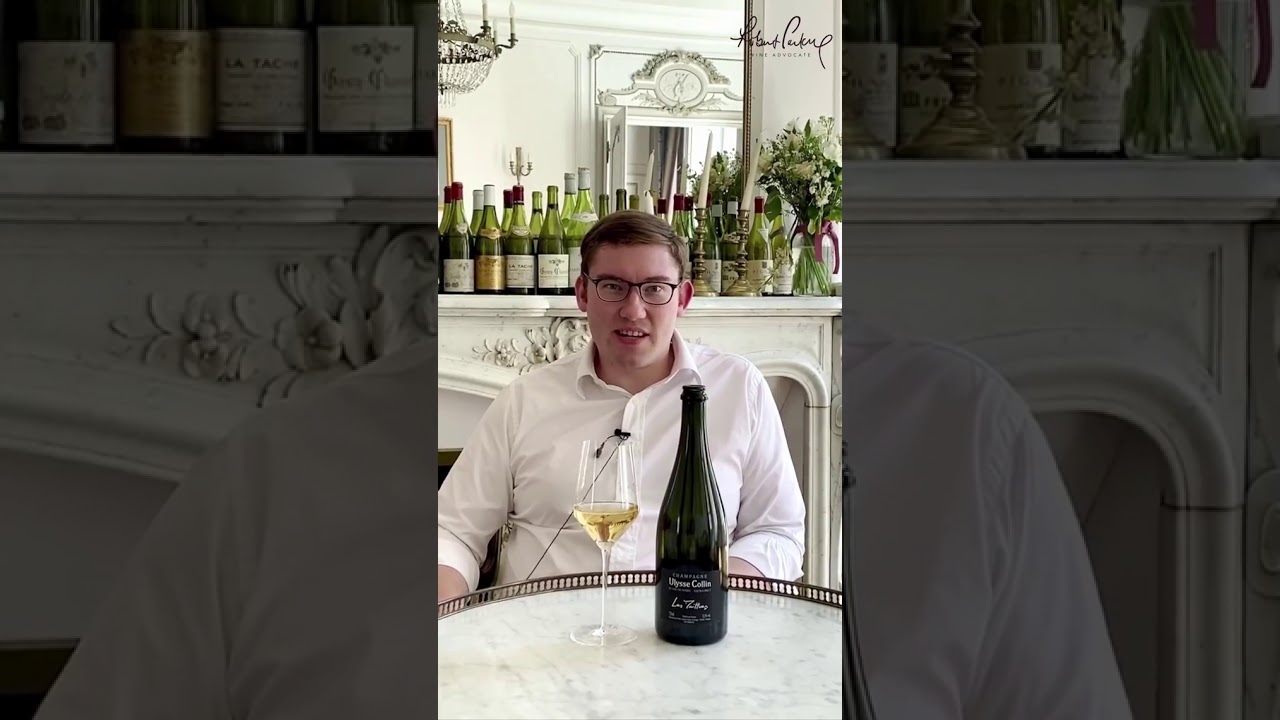 The trailblazing Champagnes of Olivier Collin by Wine Advocate Reviewer William Kelley