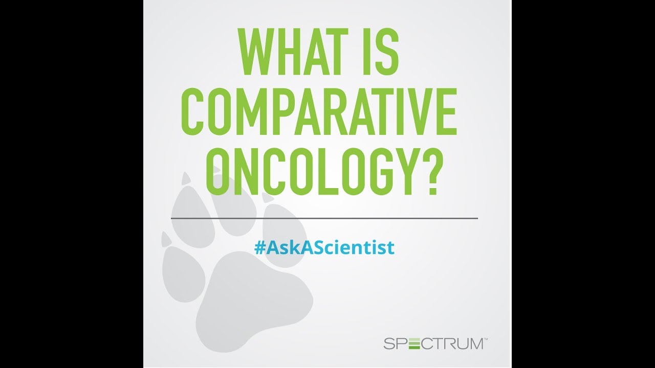 Ask A Scientist: What is Comparative Oncology?