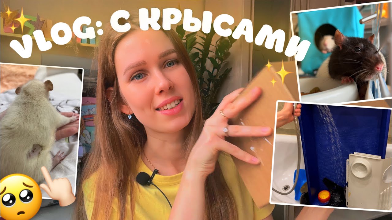 ЧТО СЛУЧИЛОСЬ С ИЛЮШКОЙ, ЛАКОМСТВО ДЛЯ КРЫС, УБОРКА В КЛЕТКЕ🐭
