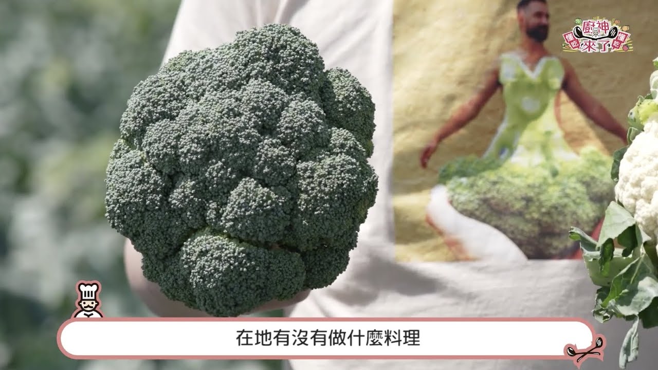【✨廚神來了懂吃懂吃ep1✨】廚神帶大家前往路竹吃當地青花菜美食啦~feat 雷神煮廚雷議宗