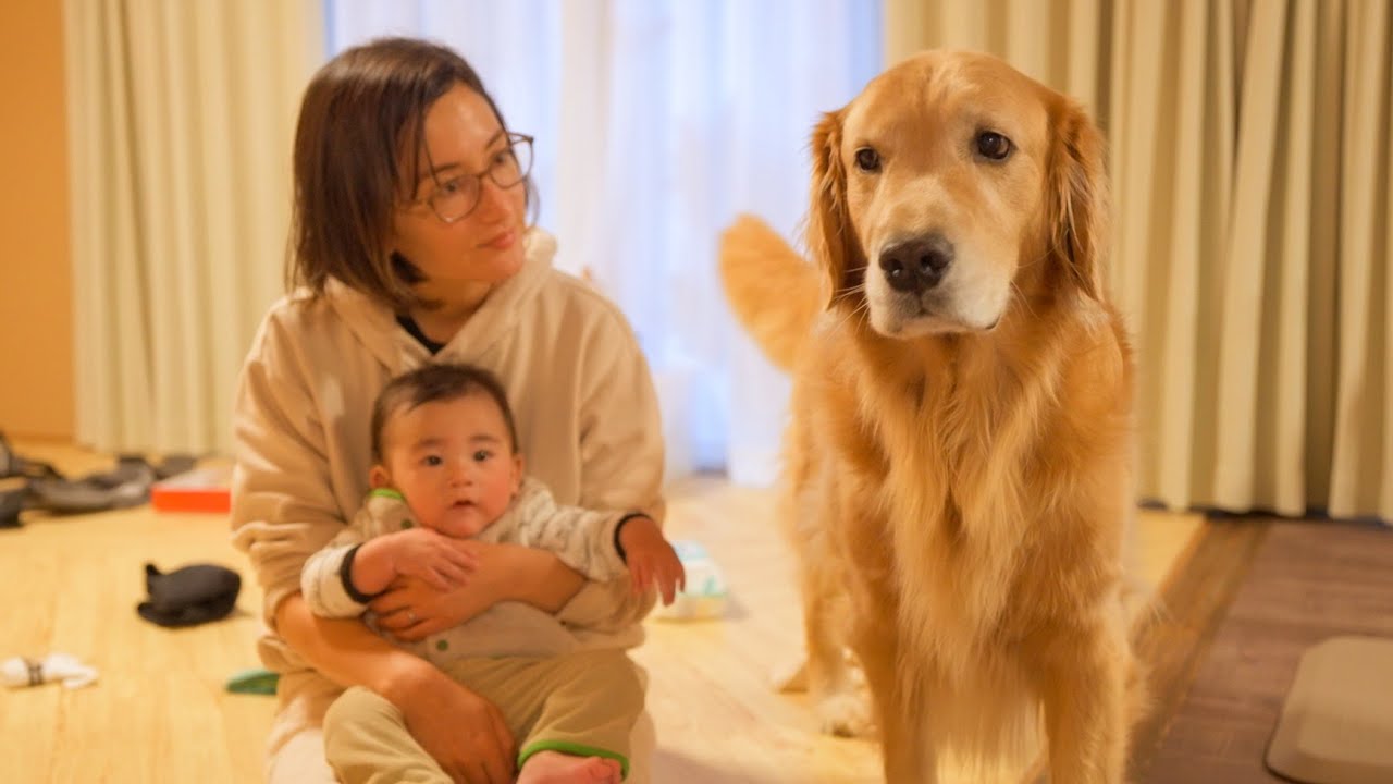 赤ちゃんと距離を置いてた愛犬が少し近づいて来てくれた日