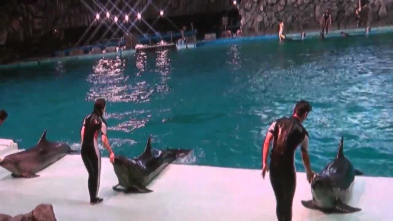 イルカのナイト・パフォーマンス　名古屋港水族館　2012/Aug/05_2