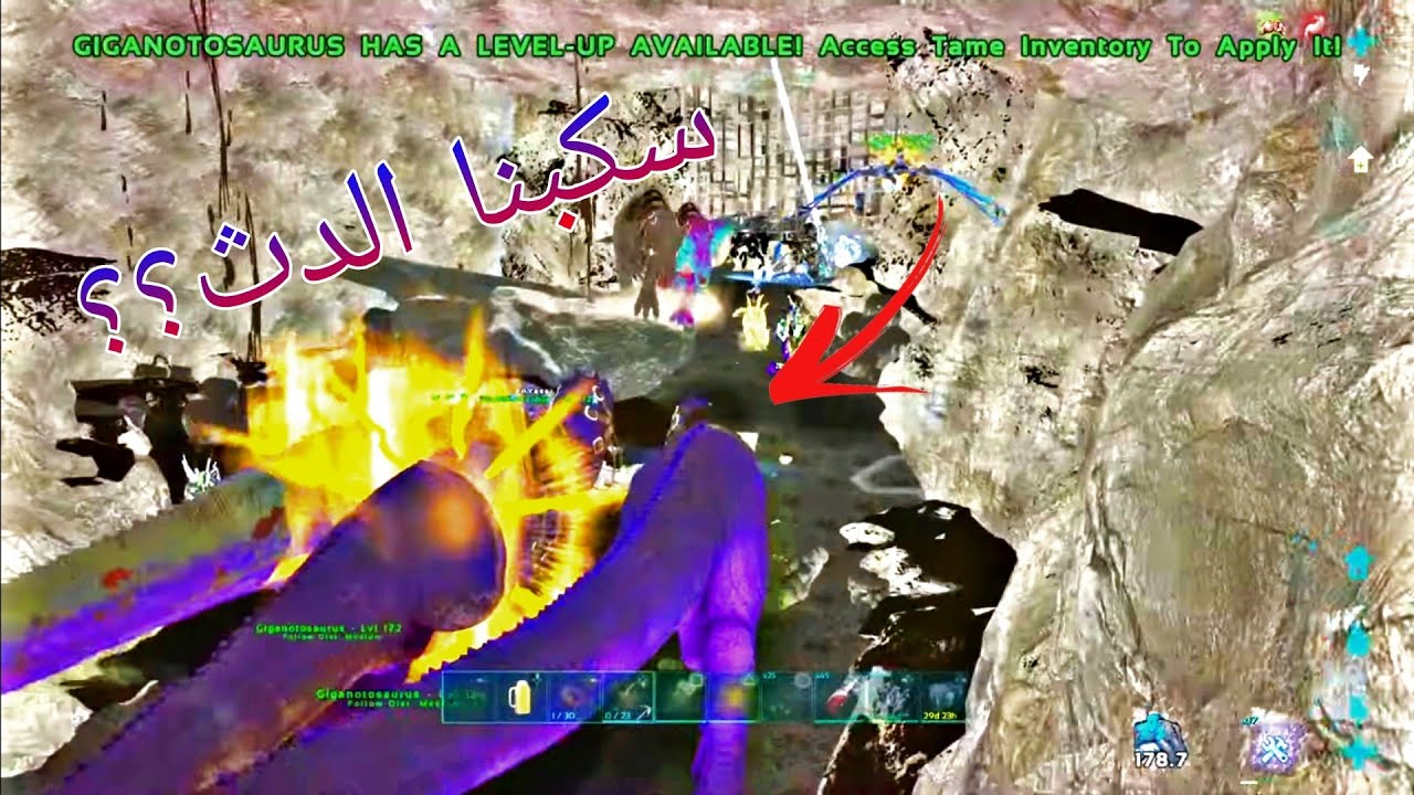 ارك: فوب على ترايب P X للمره الثانيه في كهف الاويل |Logan ARK#