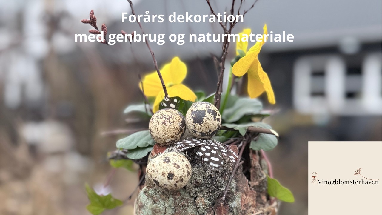 Værtindegave eller blomst på middagbordet