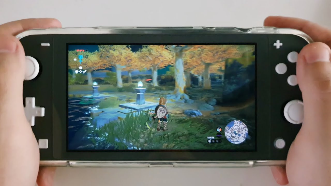 The Legend of Zelda: Tears of the Kingdom | Nintendo Switch Lite | Mini Gameplay