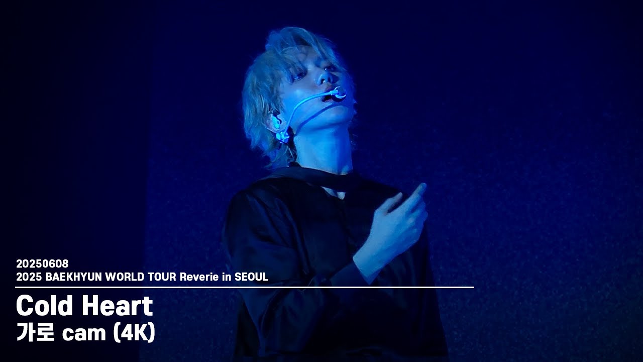 20250608 백현 'Cold Heart' - Reverie in SEOUL Day2 가로 직캠 4K