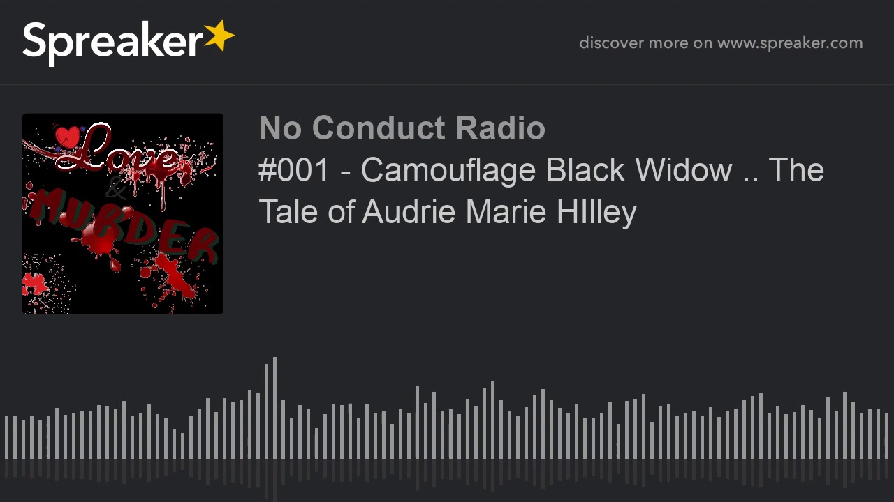 #001 - Camouflage Black Widow .. The Tale of Audrie Marie HIlley (part 2 of 6)