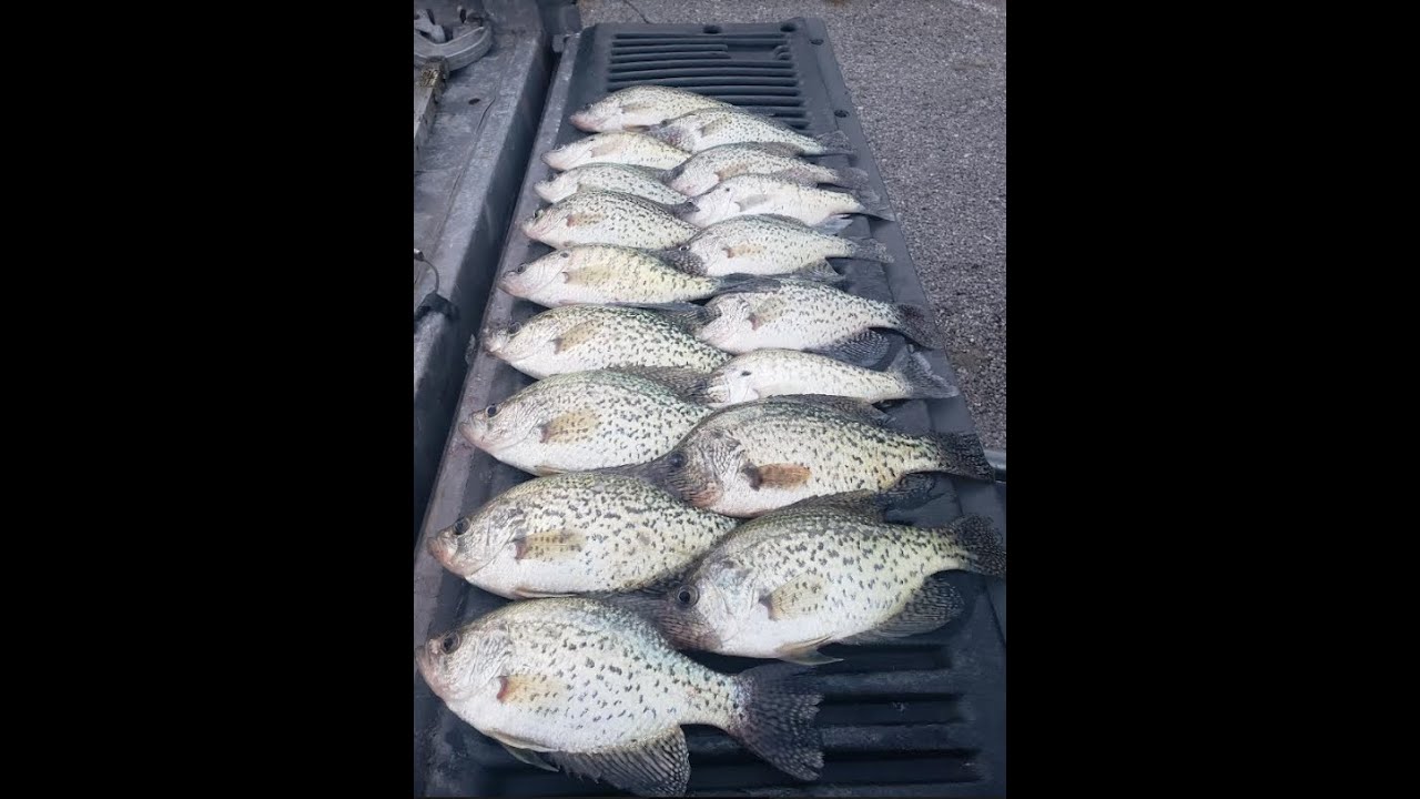 Crappie Fishing Stillhouse Hollow Lake , Feb 28 2022 , up river