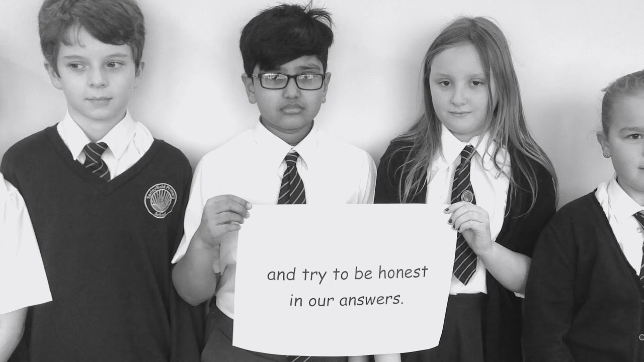 Y6 All that we share