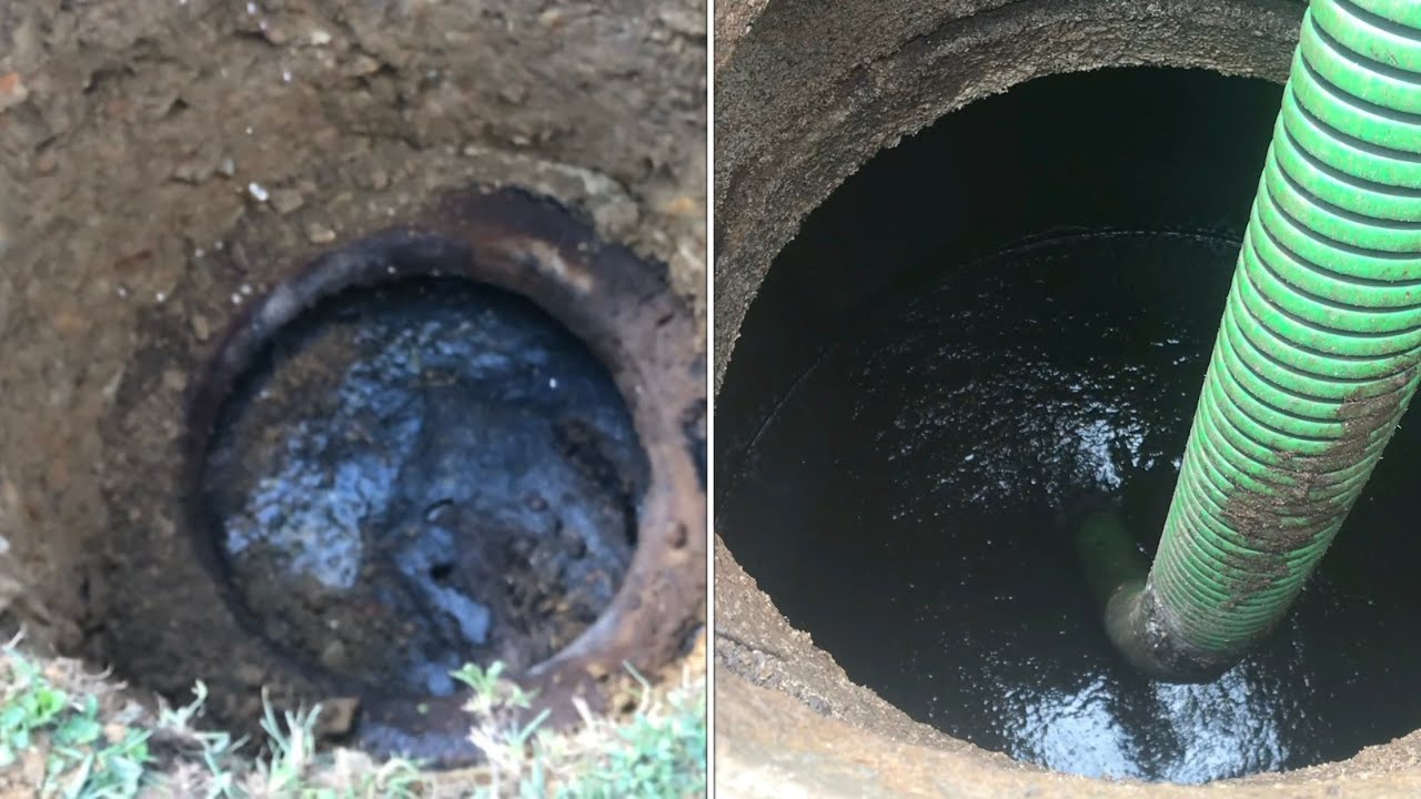 what a “healthy” ALIVE septic tank looks like…