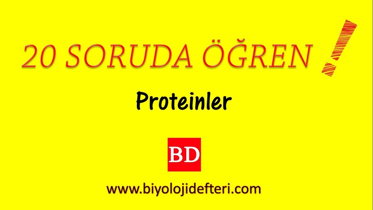 20 SORUDA ÖĞREN ( Proteinler - 1 )