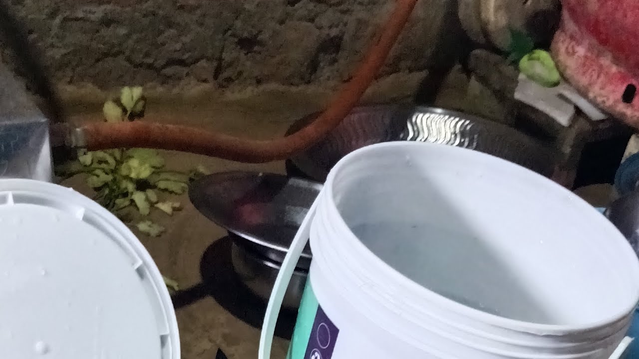 #हेलो दोस्त नमस्ते गुड नाइट हमारे छोटा सा ब्लॉक आप लोग जरूर देखें और आप लोग देख सकते हैं क्या कर #🙏🥀