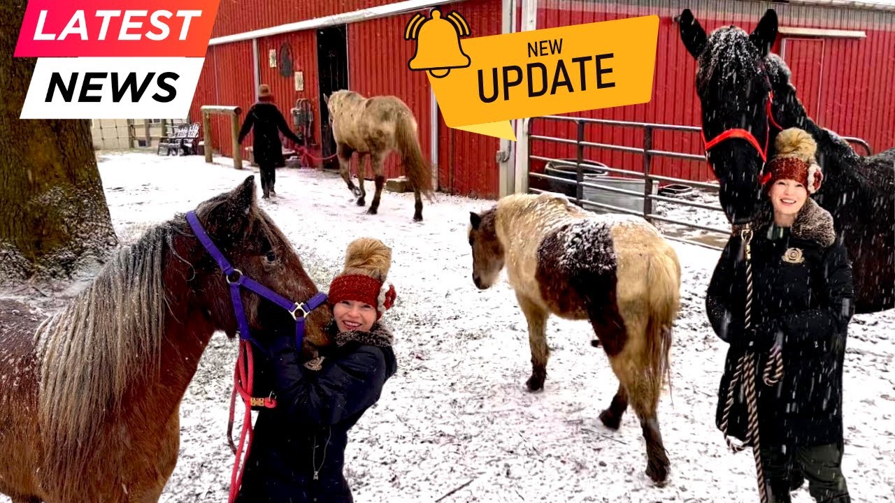 UPDATE ON MY 9 HORSES!!!