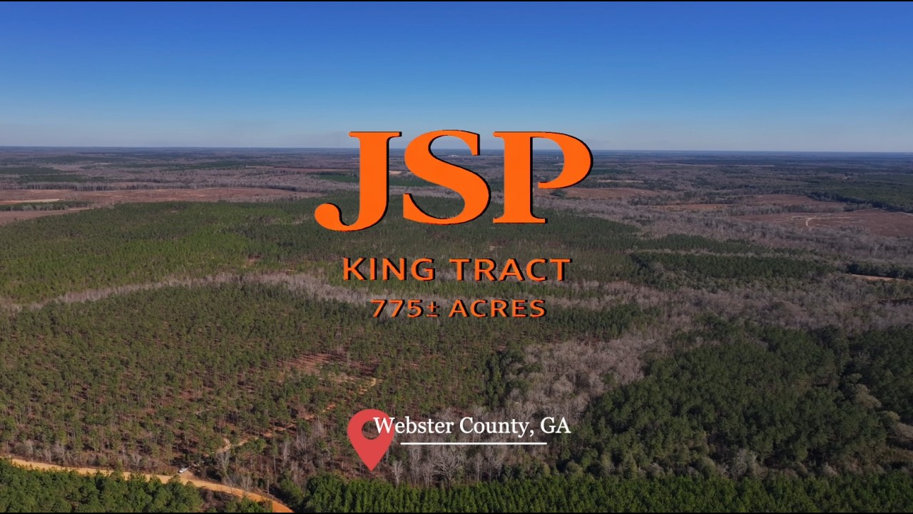 King Tract - 775± Total Acres - Premium Plantation Tract - Large Timber Investment