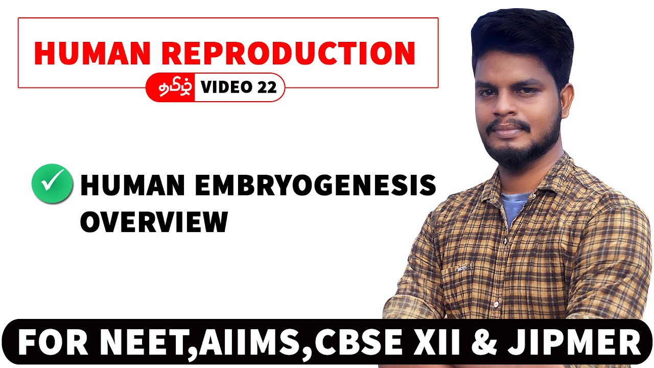 Human Embryogenesis Overview | Human Reproduction in Tamil (22)
