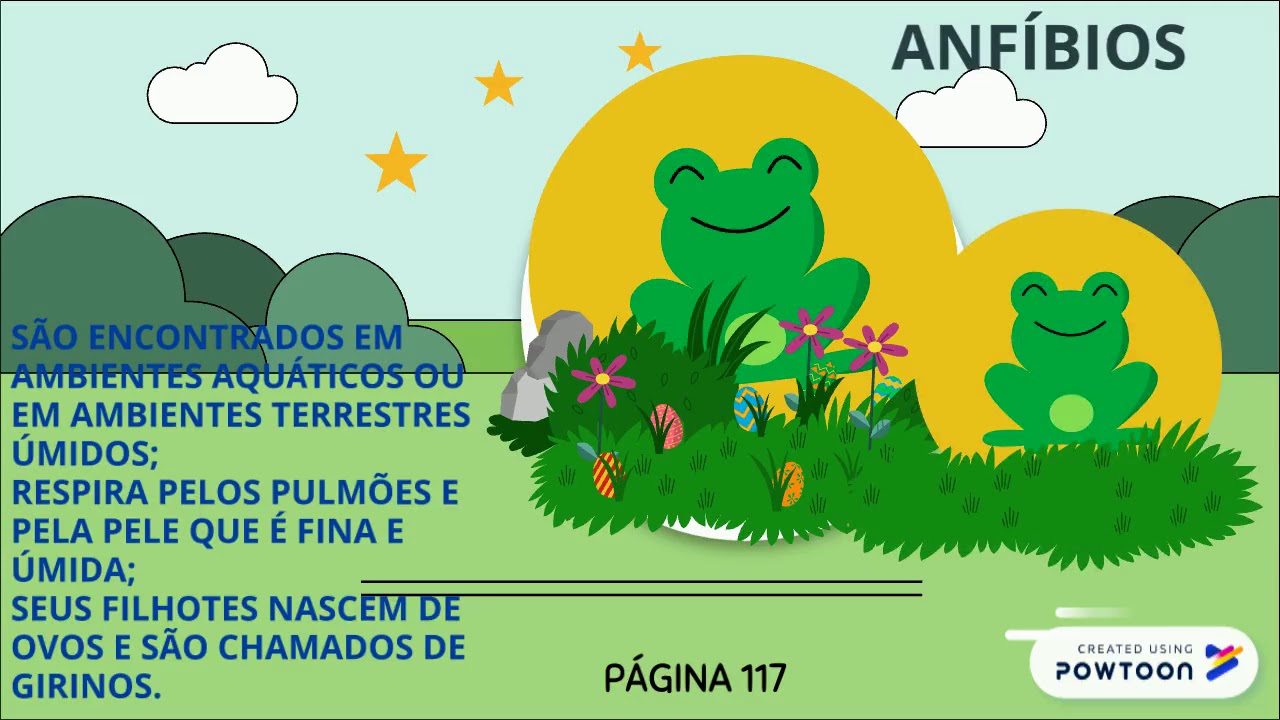 CI&Ecirc;NCIAS 15/05