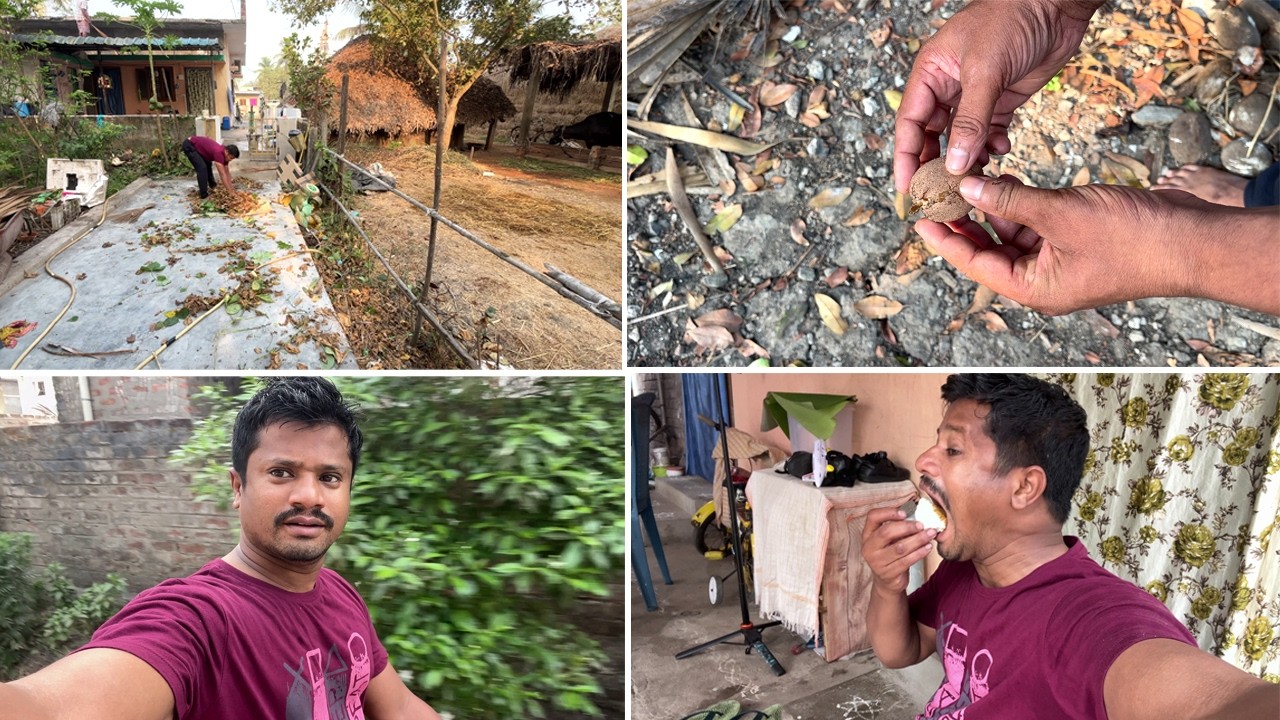 మా చిక్కుడుపాదు  కంప కోసేసి  క్లీన్  చేసేసామండి |ఎంత  తుక్కు వచ్చిందో నండి బాబా  .