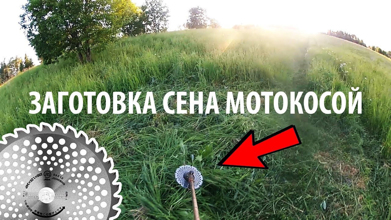 НАЧАЛИ ЗАГОТОВКУ СЕНА МОТОКОСОЙ. ЖИЗНЬ В ДЕРЕВНЕ