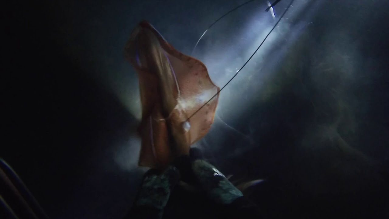 Kooks Corner (EP 11) Night Diving At Clifton Springs (again)