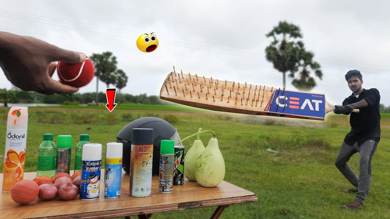 Experiment!! Destroyer Cricket🏏 Bat Power Testing | என்ன ஆகும்🤔.? | Mr.Village Vaathi