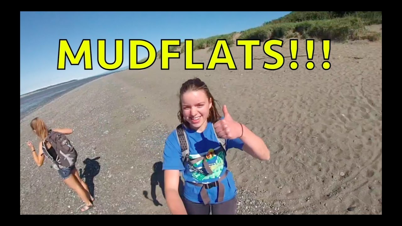 The Mudflats